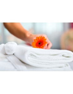 TOWEL PACKAGING IN LAUNDRIES WITH L500SA